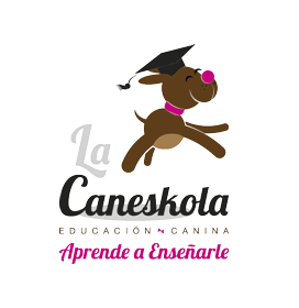 Logotipo de Caneskola